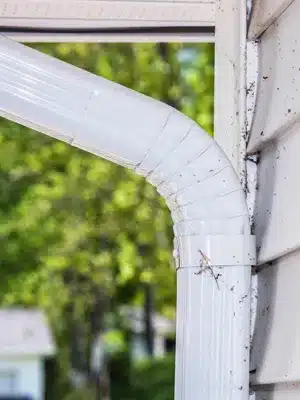 Insect_Control_Spiders Insect Control Spiders