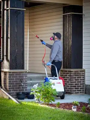 Spraying_Treatment_Spiders_Webs Spraying Treatment Spiders Webs