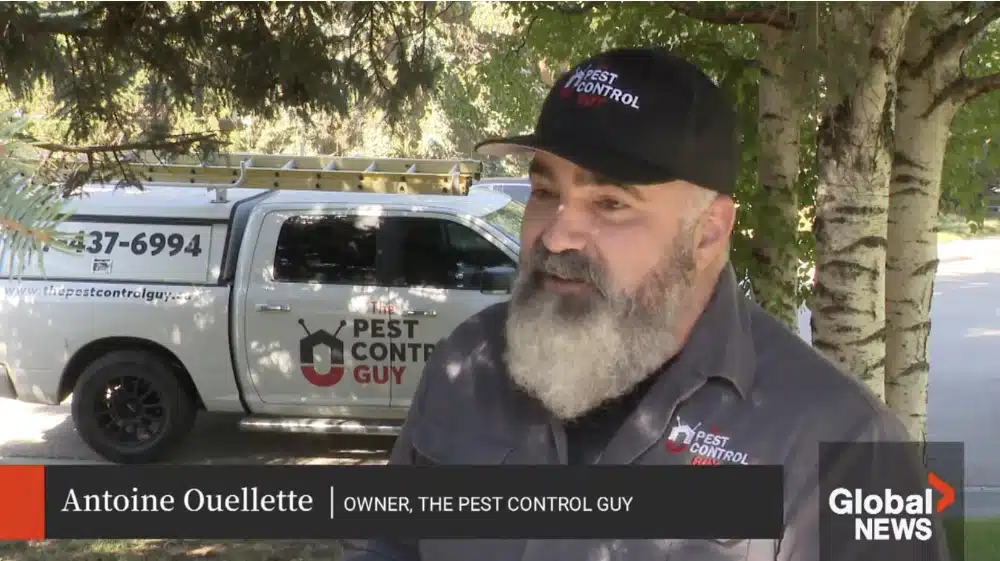 Pest Control Calgary Pest Control Calgary