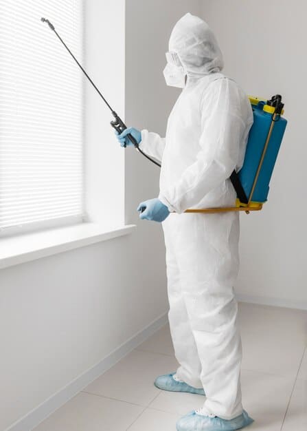 Can pest control get rid of stink bugs?