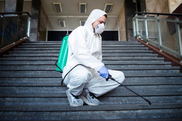 What to Expect After Treatment for Ant Infestations
