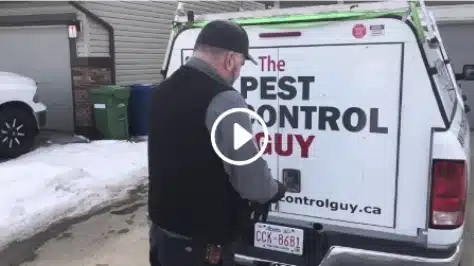 pest control video link Pest Control Video